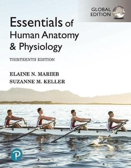 Essentials of Human Anatomy & Physiology, Global Edition Elaine Marieb