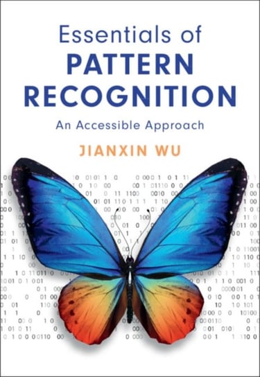 Essentials Of Pattern Recognition An Accessible Approach