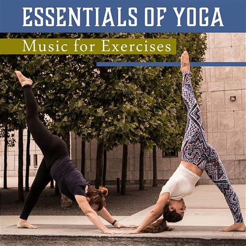 Essentials of Yoga – Music for Exercises: Meditation Timer, Source of Inner Balance, Pure Power, Strength of Body & Mind Spiritual Meditation Vibes