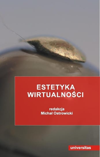 Estetyka wirtualności Ostrowicki Michał