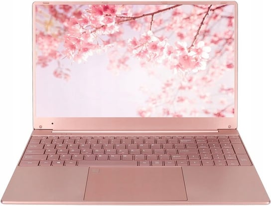 EStink Laptop Notebook 15,6' Intel N5095 4x2,9GHz 12GB RAM SSD 1TB RÓŻOWY Golden