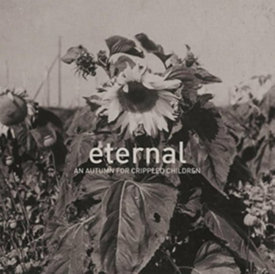 Eternal An Autumn for Crippled Children