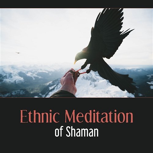 Ethnic Meditation of Shaman: 50 Native American Music, Old Tribe Apache, Fire & Wind, Sacred Nature, Follow the Eagle Native Meditation Zone