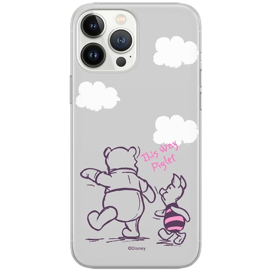 Etui dedykowane do SAMSUNG S24 wzór: Winnie the Pooh & Friends 006oryginalne i oficjalnie licencjonowane ERT Group