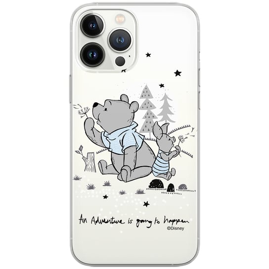 Etui dedykowane do SAMSUNG S24 wzór: Winnie the Pooh & Friends 008oryginalne i oficjalnie licencjonowane ERT Group