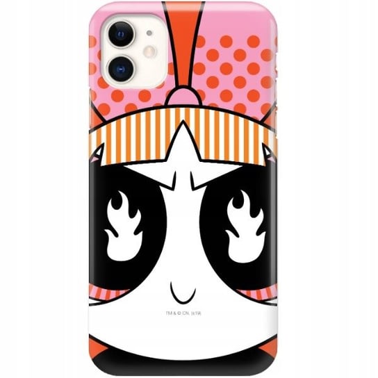 ETUI DO iPHONE 11 Dużo Wzorów ATOMÓWKI POWER GIRLS Funnycase