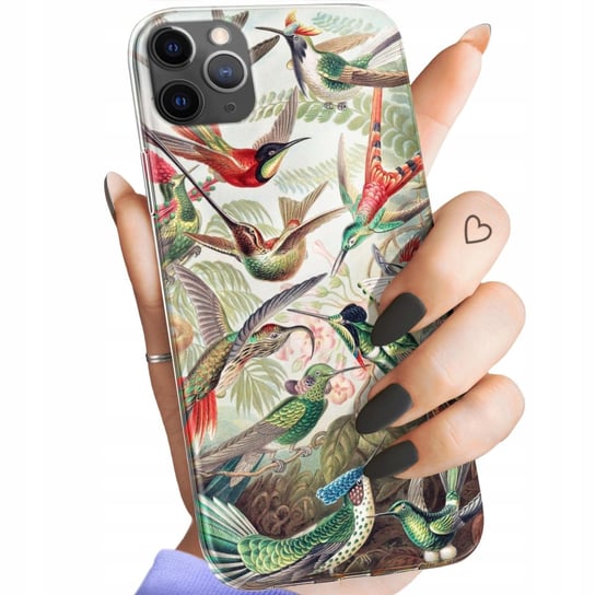 Etui Do Iphone 11 Pro Max Wzory Ernst Haeckel Przyroda Botanika Obudowa Apple