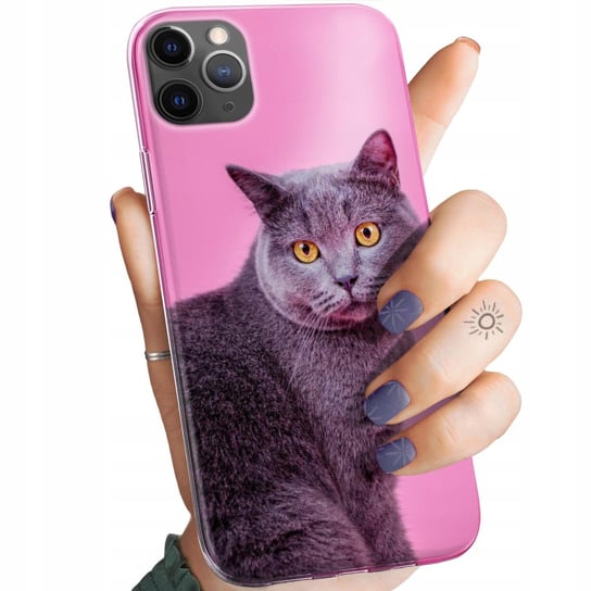Etui Do Iphone 11 Pro Max Wzory Koty Kotki Kociaki Obudowa Pokrowiec Case Apple