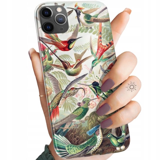 Etui Do Iphone 11 Pro Wzory Ernst Haeckel Przyroda Botanika Obudowa Case Apple