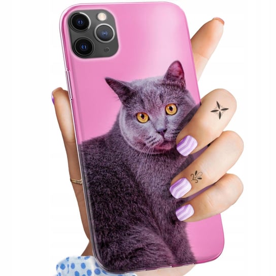 Etui Do Iphone 11 Pro Wzory Koty Kotki Kociaki Obudowa Pokrowiec Case Apple
