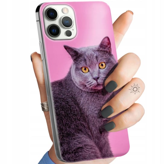 Etui Do Iphone 12 Pro Max Wzory Koty Kotki Kociaki Obudowa Pokrowiec Case Apple