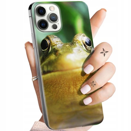 Etui Do Iphone 12 Pro Max Wzory Żabka Żaba Frog Obudowa Pokrowiec Case Apple