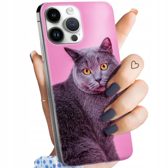 Etui Do Iphone 14 Pro Max Wzory Koty Kotki Kociaki Obudowa Pokrowiec Case Apple