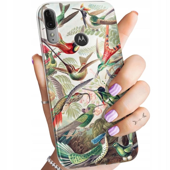 Etui Do Motorola Moto E6 Plus Wzory Ernst Haeckel Przyroda Botanika Obudowa Motorola