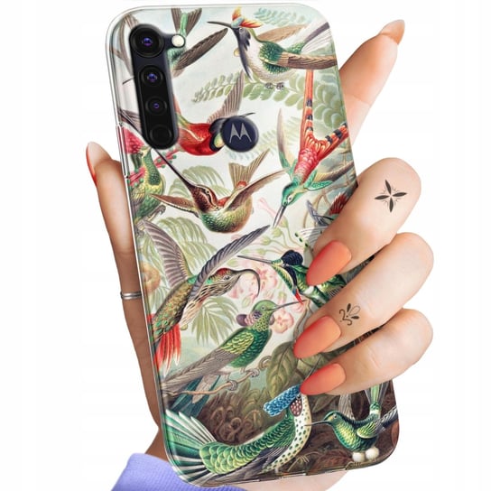 Etui Do Motorola Moto G Pro Wzory Ernst Haeckel Przyroda Botanika Obudowa Motorola