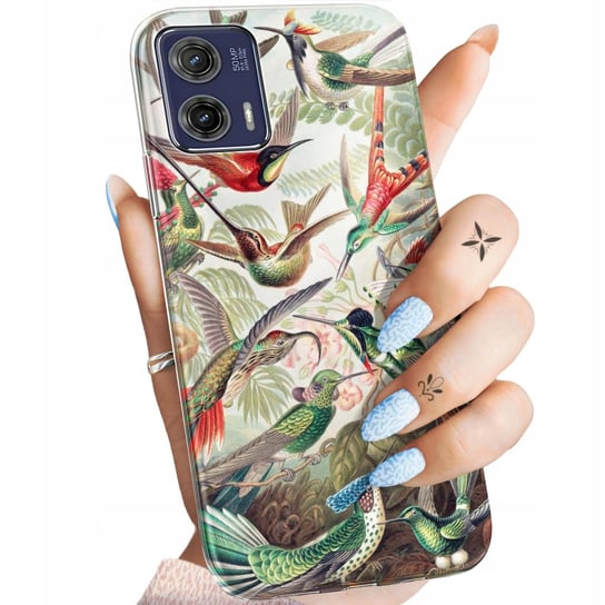 Etui Do Motorola Moto G73 Wzory Ernst Haeckel Przyroda Botanika Obudowa Motorola