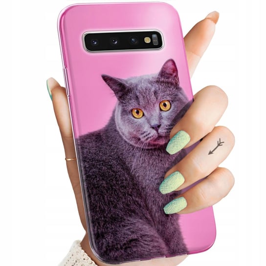 Etui Do Samsung Galaxy S10 Plus Wzory Koty Kotki Kociaki Obudowa Pokrowiec Samsung Electronics