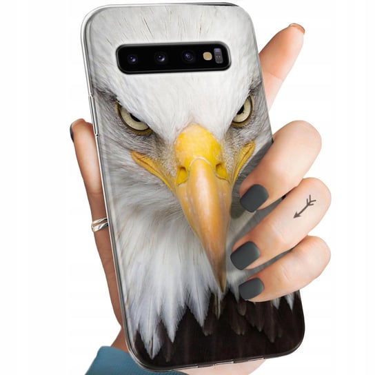 Etui Do Samsung Galaxy S10 Wzory Orzeł Sokół Eagle Obudowa Pokrowiec Case Samsung
