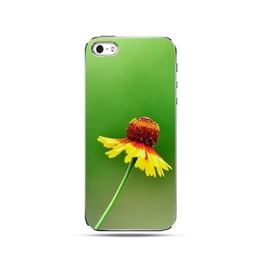 Etui, iPhone 4s, 4, kwiat EtuiStudio