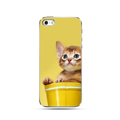 Etui, iPhone 4s, 4, słodki kociak EtuiStudio