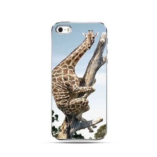 Etui, iPhone 4s, 4, struchlana żyrafa EtuiStudio