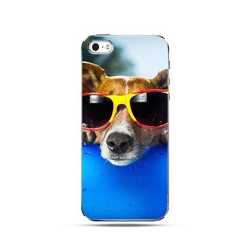 Etui, iPhone 5c, pies w okularach EtuiStudio