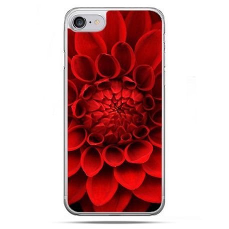 Etui, iPhone 8, czerwona dalia EtuiStudio