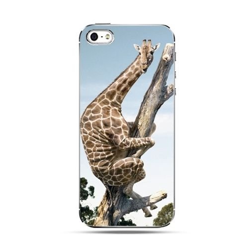 Etui na telefon, iPhone SE, śmieszna żyrafa EtuiStudio