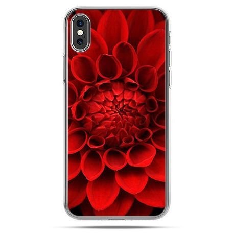 Etui na telefon, iPhone XS, czerwona dalia kwiat EtuiStudio