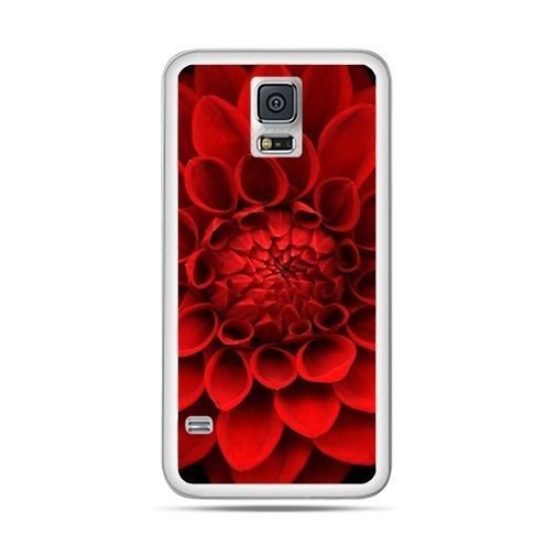Etui, Samsung Galaxy S5 Neo, czerwona dalia EtuiStudio