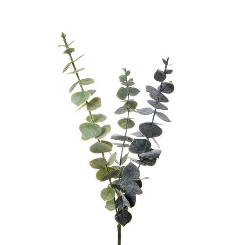 Eukaliptus - gałązka dekoracyjna Bomm