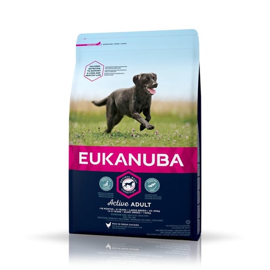 Eukanuba, karma dla psów, Active Adult Large &amp, giant breed, 15kg Eukanuba
