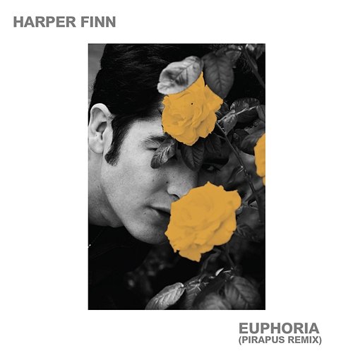 Euphoria Harper Finn