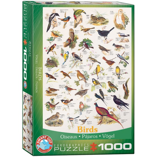 Eurographics, puzzle, Birds, 1000 el. EuroGraphics