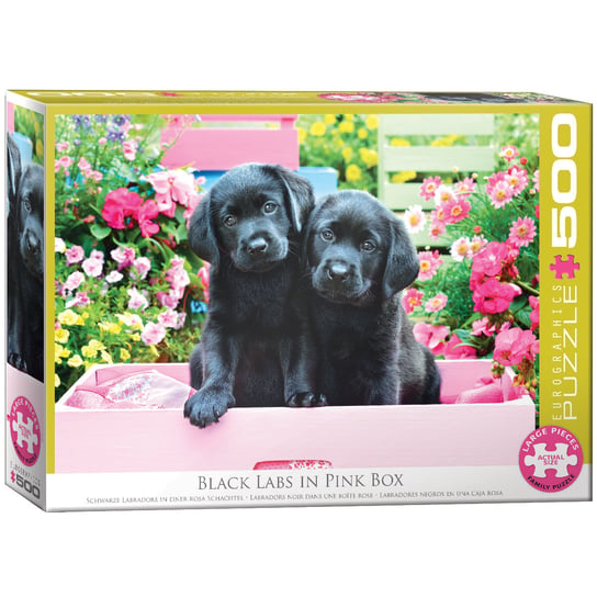 Eurographics, puzzle, Black Labs in Pink Box, 500 el. EuroGraphics