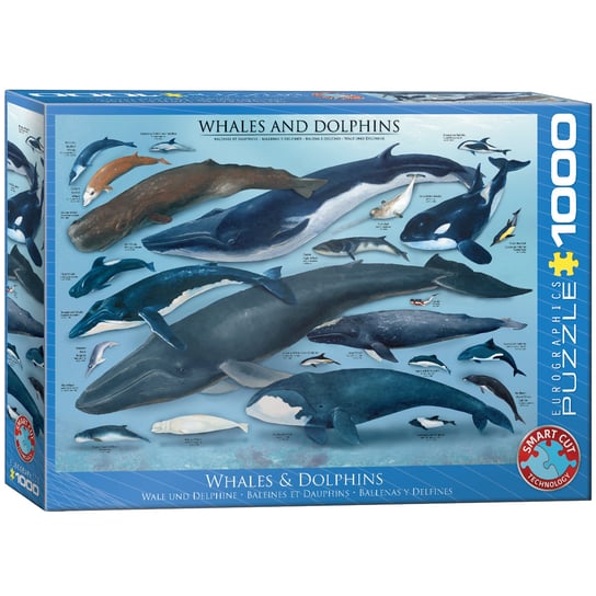 Eurographics, puzzle, Whales Dolphins, 1000 el. EuroGraphics