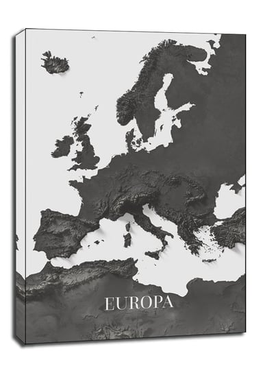 Europa-Afryka mapa czarno biała - obraz na płótnie / AAALOE Inna marka