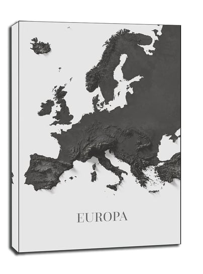 Europa mapa czarno biała - obraz na płótnie 20x30  / AAALOE Inna marka