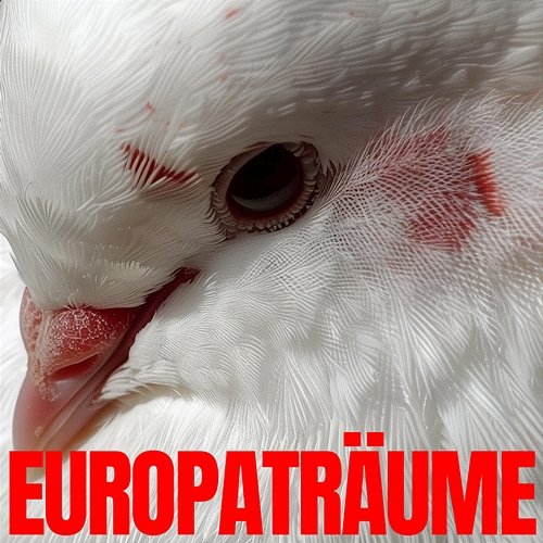 Europaträume Brutalismus 3000