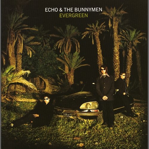 Evergreen Echo & The Bunnymen