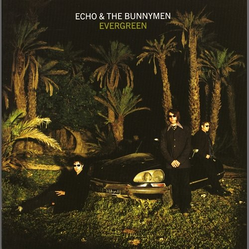 Evergreen Echo, The Bunnymen