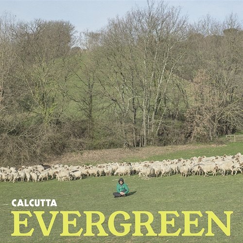 Evergreen Calcutta