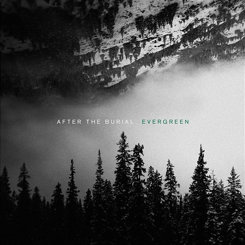 Evergreen After The Burial