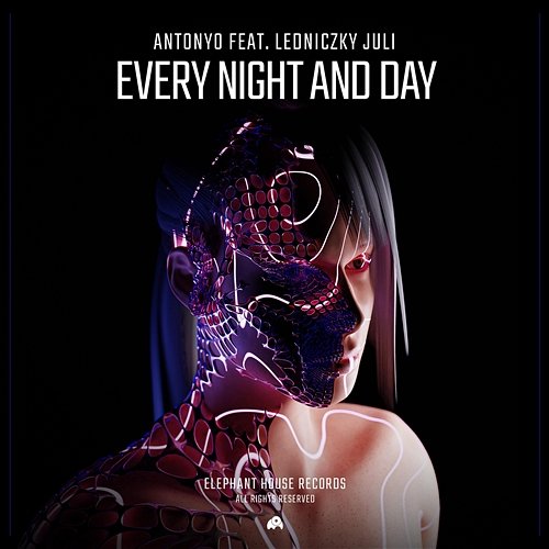 Every Night and Day Antonyo feat. Ledniczky Juli