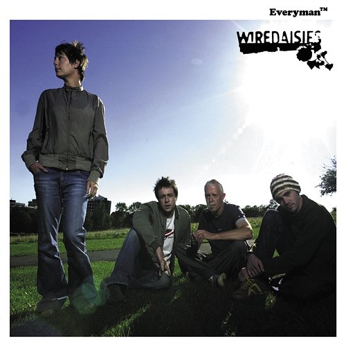 Everyman Wire Daisies