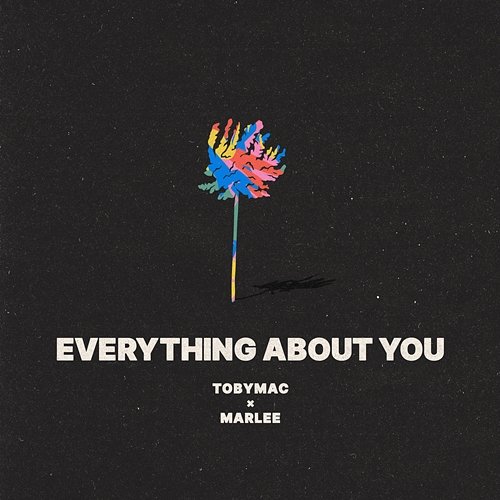 Everything About You Tobymac