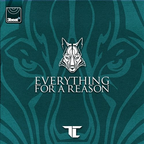 Everything For A Reason Tc