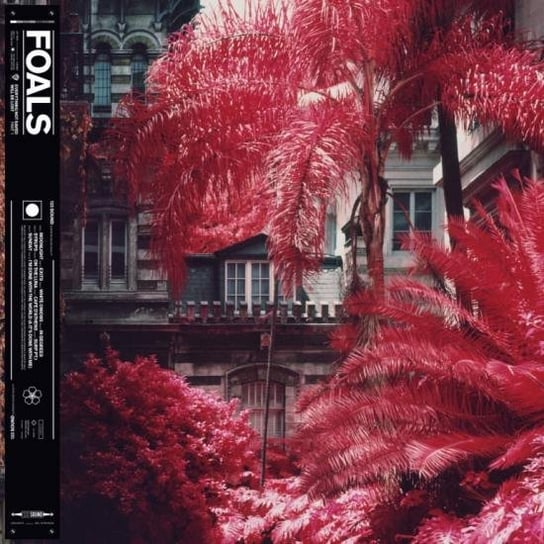 Everything Not Saved Will Be Lost. Volume 1 Foals