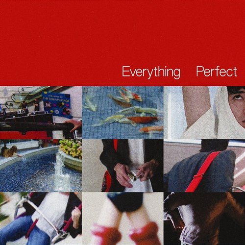 Everything Perfect James Ivy