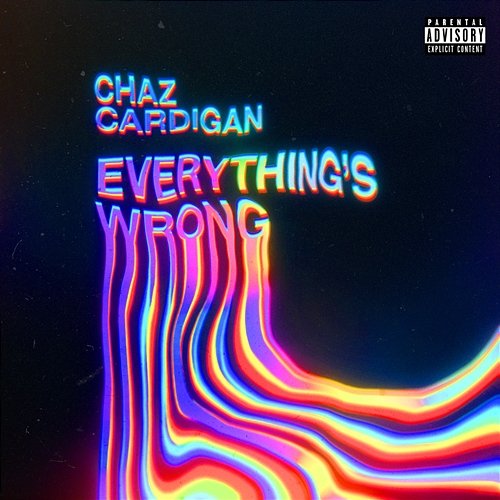 Everything's Wrong Chaz Cardigan
